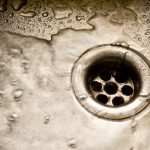 Water coming up a drain