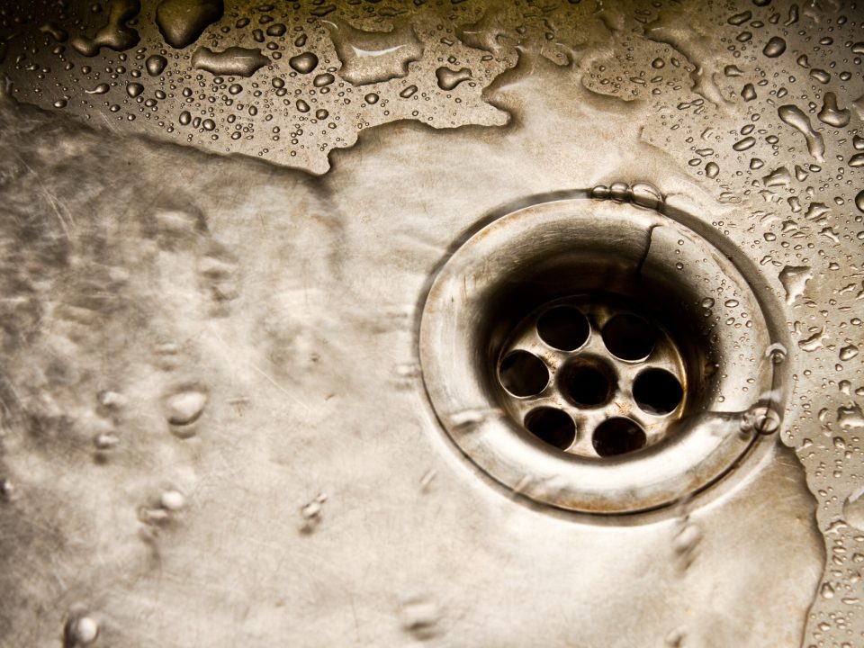 Water coming up a drain