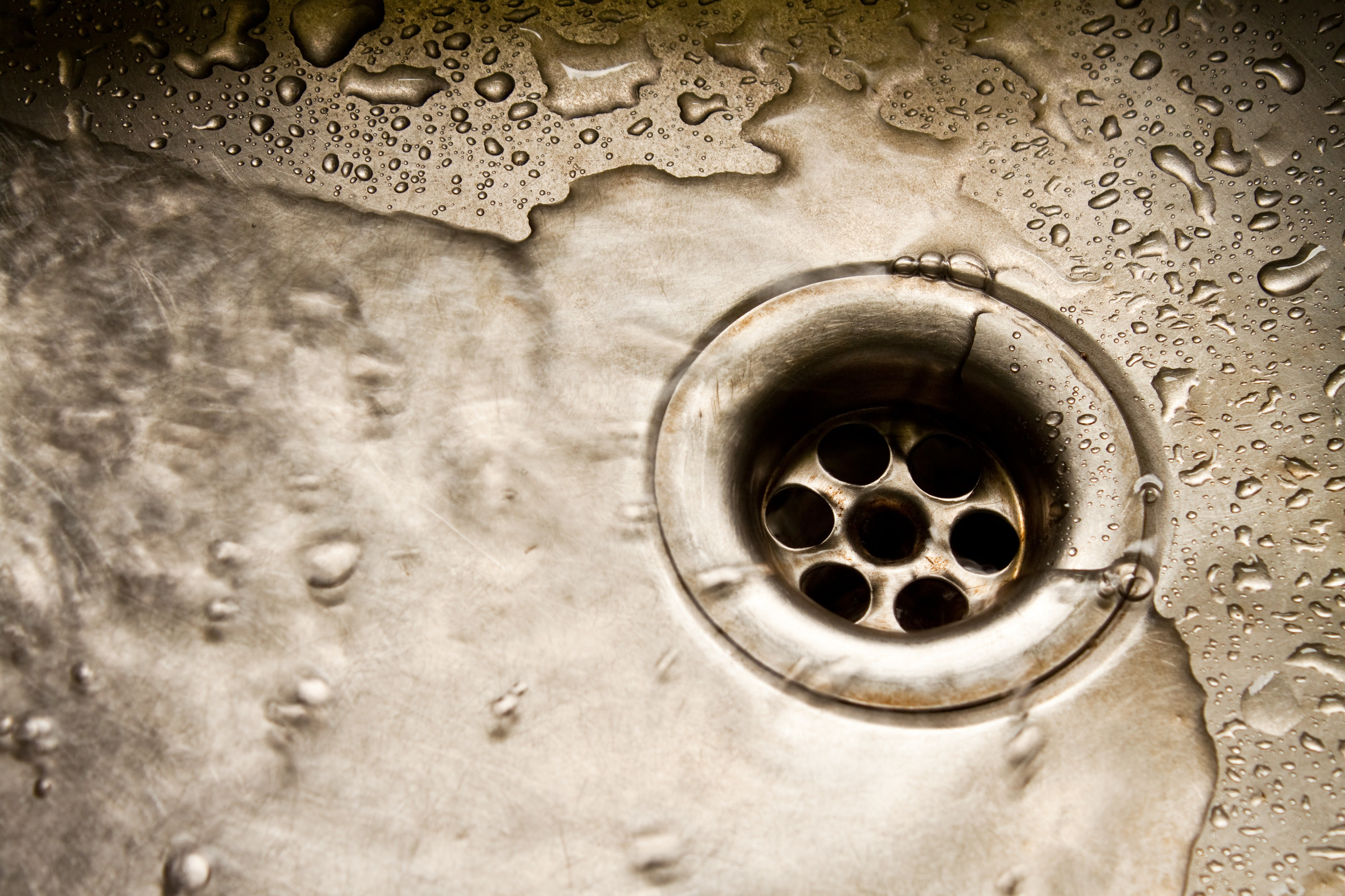 Water coming up a drain