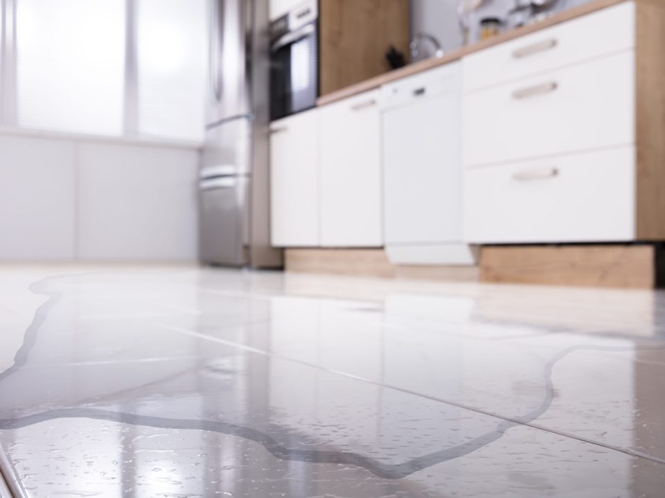Water on kitchen floor from slab leak
